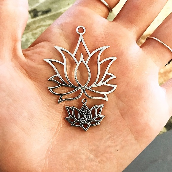 Custom Lotus Ideas - Picture 5 of 6